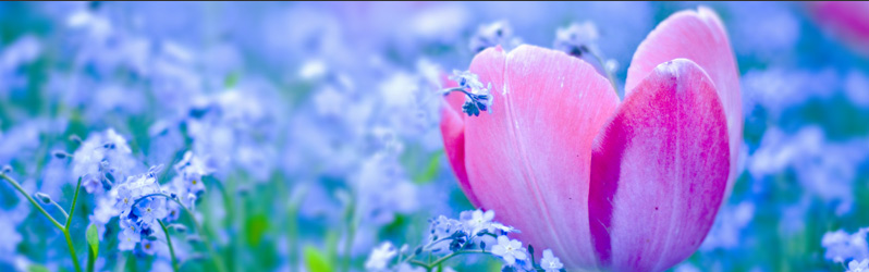 Information on Naturopathic Medicine